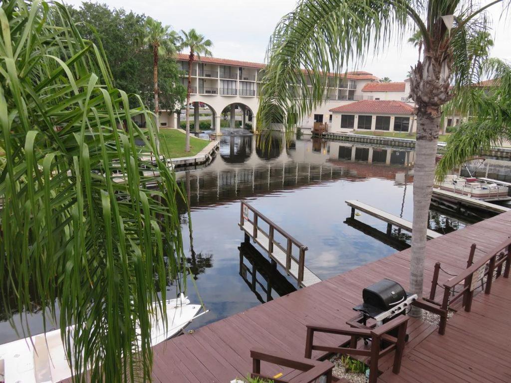 Florida Condos On Lake Tarpon Palm Harbor Exteriör bild