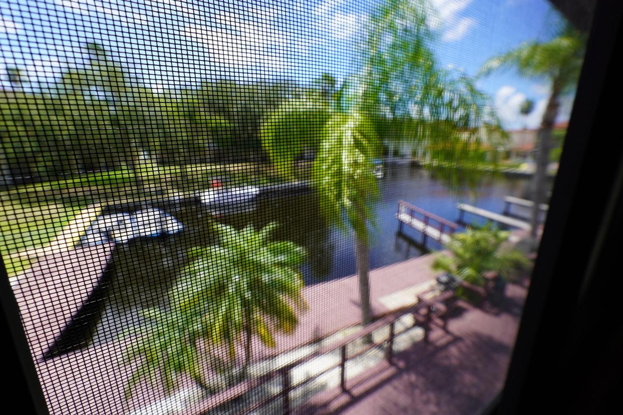 Florida Condos On Lake Tarpon Palm Harbor Exteriör bild